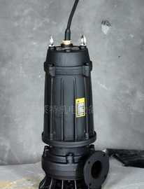 WQ、WQD、WQX型無(wú)堵塞潛水電泵 高效可靠的潛水設(shè)備解決方案